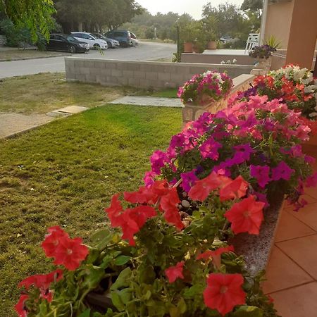 Apartmani Ruza Novalja Exterior foto