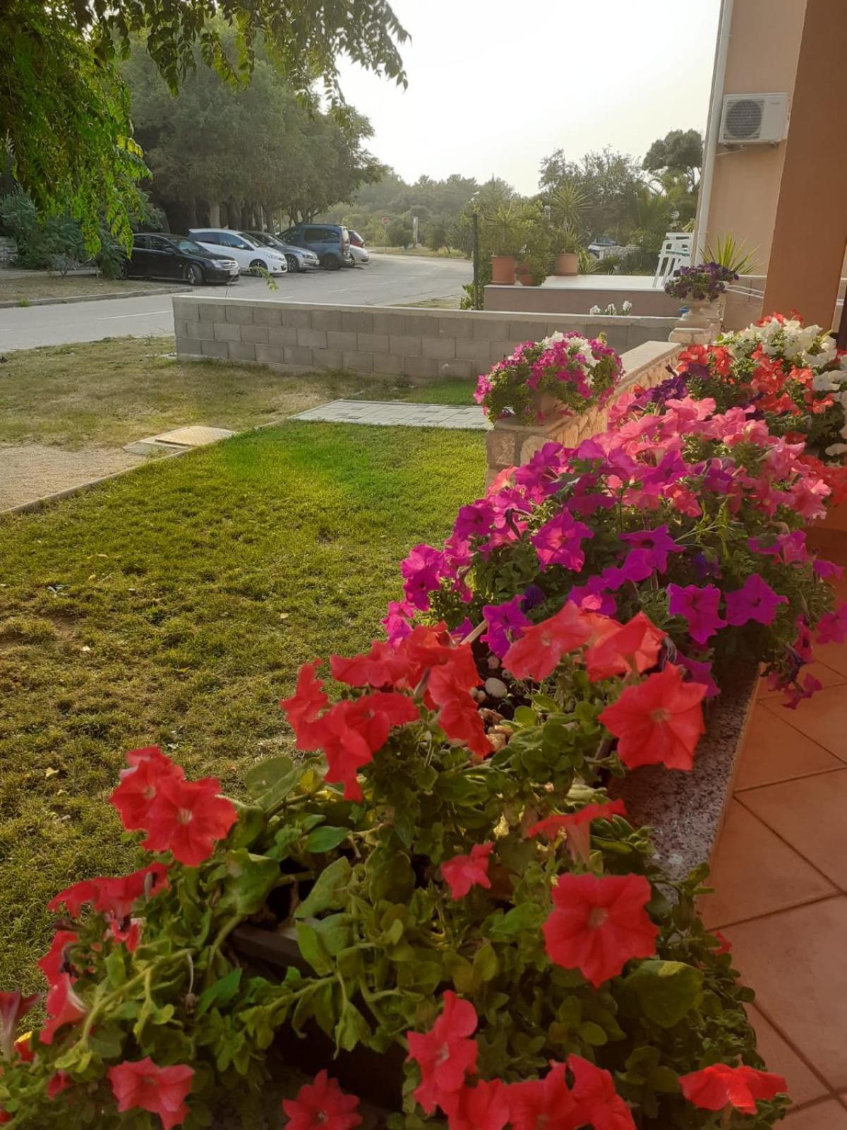 Apartmani Ruza Novalja Exterior foto